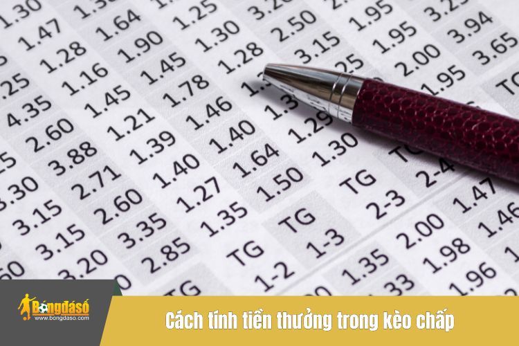 Cách tính tiền thưởng trong kèo chấp