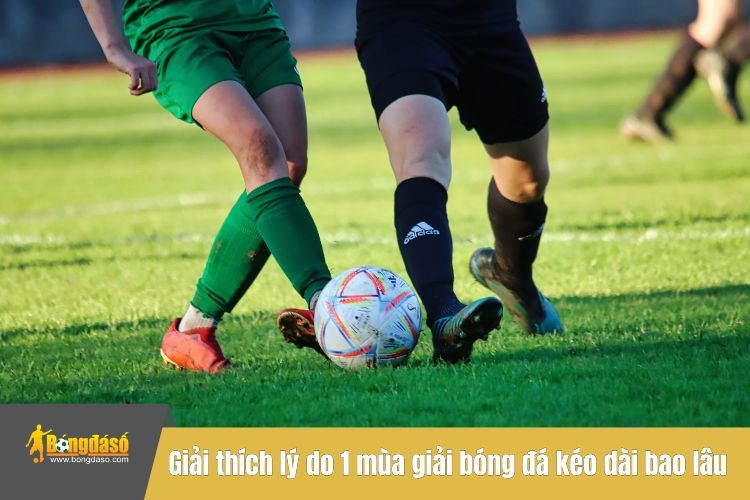 Giải thích lý do 1 mùa giải bóng đá kéo dài bao lâu dễ hiểu nhất