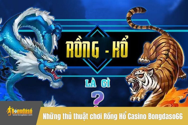 Lý do nên hiểu luật chơi rồng hổ tại BONGDASO66