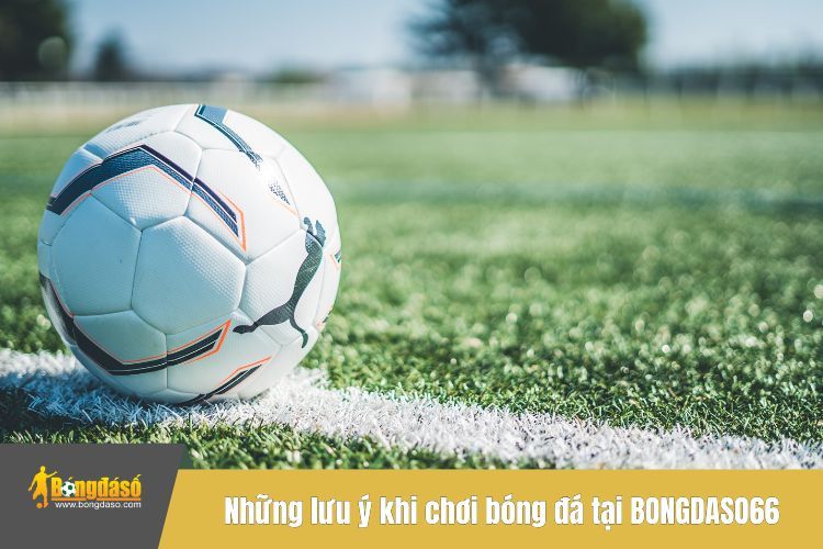 Những lưu ý khi chơi bóng đá tại BONGDASO66