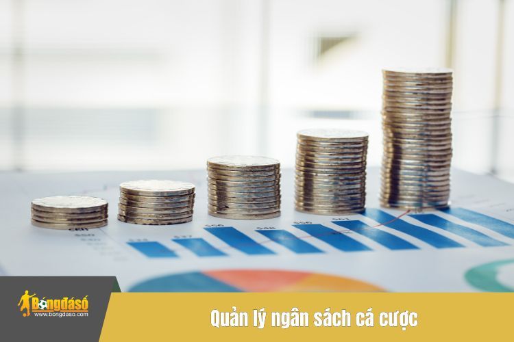 Quản lý ngân sách cá cược