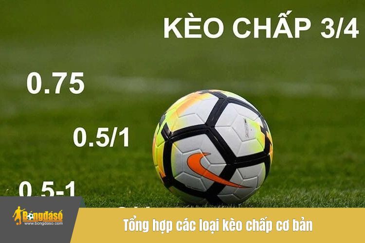 Tổng hợp các loại kèo chấp cơ bản